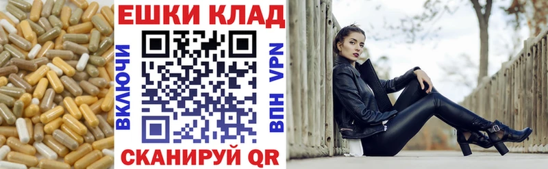 ЭКСТАЗИ бентли Болотное