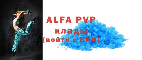индика Алексин