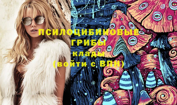 PSILOCYBIN Абаза