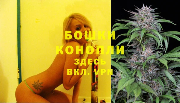 PSILOCYBIN Абаза