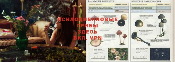 дистиллят марихуана Алексеевка