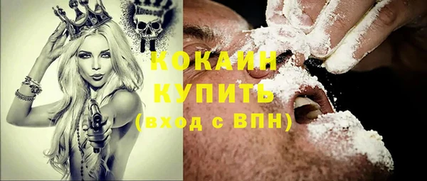 индика Алексин