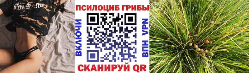 наркота  Болотное  Галлюциногенные грибы Magic Shrooms 