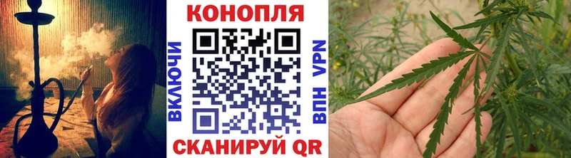 Бошки Шишки индика  Болотное 